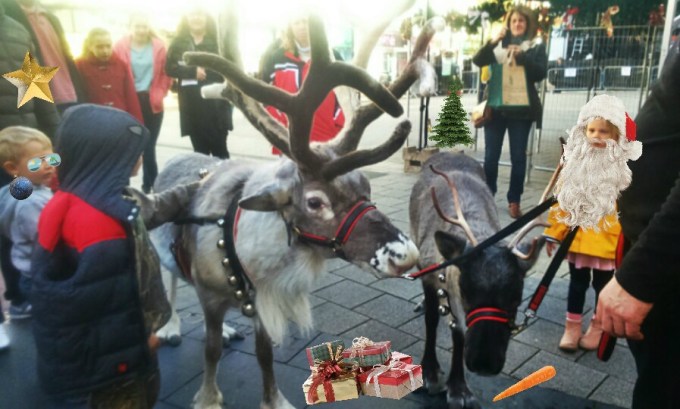 Reindeers