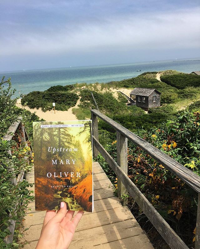 Instagram media by thepenguinpress - "You must not ever stop being whimsical. And you must not, ever, give anyone else the responsibility for your life." -Mary Oliver, Upstream