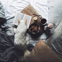 Instagram media by ezgipolat - Earlier today with my dear Cliff. He is still so smart and reads a lot 🙈 I'm going to be in Zurich on Sunday with some spare time, so if anyone wants to enjoy the day with me just hit me up!