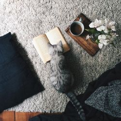 Instagram media by ezgipolat - reading lesson with Neel @neelandcliff 💙